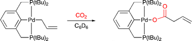 Graphical abstract: Insertion of CO2 into a palladium allyl bond and a Pd(ii) catalysed carboxylation of allyl stannanes