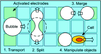 Graphical abstract: Micro air bubble manipulation by electrowetting on dielectric (EWOD): transporting, splitting, merging and eliminating of bubbles