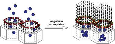 Graphical abstract: Nanoscopic hybrid systems with a polarity-controlled gate-like scaffolding for the colorimetric signalling of long-chain carboxylates