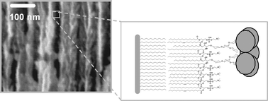 Graphical abstract: Hybrid lipid bilayers in nanostructured silicon: a biomimetic mesoporous scaffold for optical detection of cholera toxin