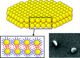 Graphical abstract: Disk micelles from amphiphilic Janus gold nanoparticles
