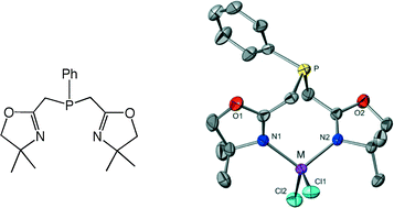 Graphical abstract: Contrasting bonding modes of a tridentate bis(oxazoline)phosphine ligand in cobalt and ironvs.palladium complexes: unprecedented N,N-coordination for a N,P,N ligand