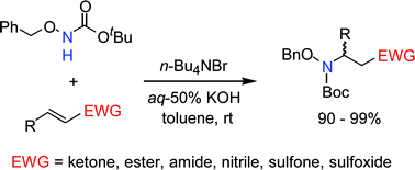 Graphical abstract: Phase-transfer catalytic aza-Michael addition of tert-butyl benzyloxycarbamate to electron-deficient olefins