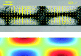 Graphical abstract: Acoustic resonances in straight micro channels: Beyond the 1D-approximation