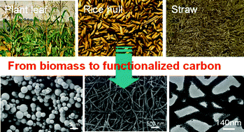Graphical abstract: Functional carbonaceous materials from hydrothermal carbonization of biomass: an effective chemical process