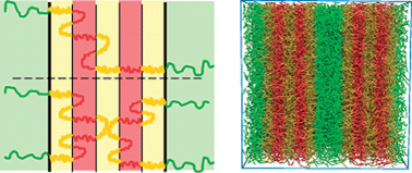 Graphical abstract: Lamellar-in-lamellar self-assembled C–b–(B–b–A)m–b–B–b–C multiblock copolymers: Alexander–de Gennes approach and dissipative particle dynamics simulations