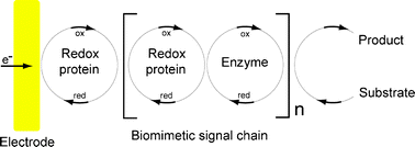 Graphical abstract: Self-assembly of electro-active protein architectures on electrodes for the construction of biomimetic signal chains