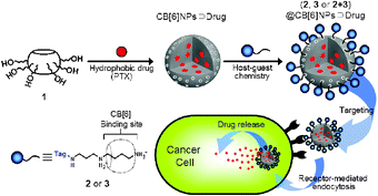 Graphical abstract: Cucurbituril-based nanoparticles: a new efficient vehicle for targeted intracellular delivery of hydrophobic drugs