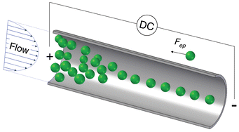 Graphical abstract: Axisymmetric flow focusing of particles in a single microchannel