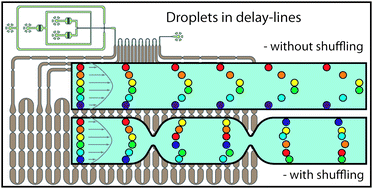 Graphical abstract: Reliable microfluidic on-chip incubation of droplets in delay-lines