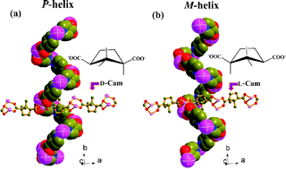 Graphical abstract: Absolute helicity induction in three-dimensional homochiral frameworks