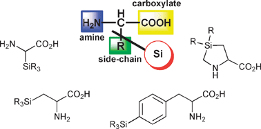 Graphical abstract: Synthesis and applications of silicon-containing α-amino acids