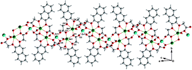 Graphical abstract: Zinc(II) and cobalt(II) complexes of (3-carboxymethoxy-naphthalen-2-yloxy)-acetic acid: a structural study