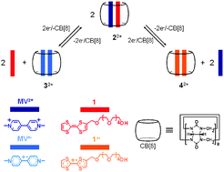 Graphical abstract: A new three-way supramolecular switch based on redox-controlled interconversion of hetero- and homo-guest-pair inclusion inside a host molecule