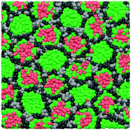 Graphical abstract: Dissipative particle dynamics simulation of quaternary bolaamphiphiles: multi-colour tiling in hexagonal columnar phases