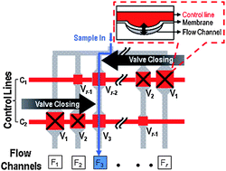 Graphical abstract: High-radix microfluidic multiplexer with pressure valves of different thresholds