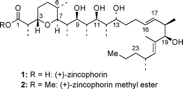 Graphical abstract: Challenges in the synthesis of a unique mono-carboxylic acid antibiotic, (+)-zincophorin