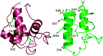 Graphical abstract: Preliminary kinetic analysis of acyl carrier protein–ketoacylsynthase interactions in the actinorhodin minimal polyketide synthase