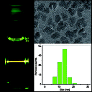 Graphical abstract: Structural and optical investigation of colloidal Ln3+/Yb3+ co-doped KY3F10nanocrystals