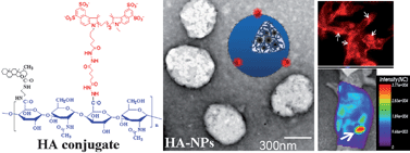 Graphical abstract: Self-assembled hyaluronic acid nanoparticles as a potential drug carrier for cancer therapy: synthesis, characterization, and in vivo biodistribution