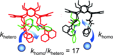 Graphical abstract: Interactions of vinca alkaloid subunits with chiral amido[4]resorcinarenes: a dynamic, kinetic, and spectroscopic study