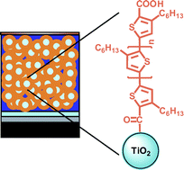 Graphical abstract: Tailor-made synthesis of poly(3-hexylthiophene) with carboxylic end groups and its application as a polymer sensitizer in solid-state dye-sensitized solar cells