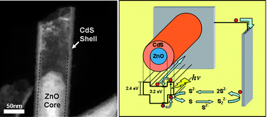 Graphical abstract: Fabrication of ZnO/CdS core/shell nanowire arrays for efficient solar energy conversion