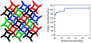 Graphical abstract: Nanoporous In-MOF with multiple one-dimensional pores