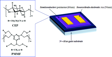 Graphical abstract: Low-operating voltage organic field-effect transistors with high-k cross-linked cyanoethylated pullulan polymer gate dielectrics