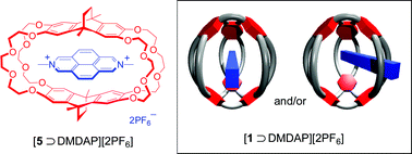 Graphical abstract: Two guest complexation modes in a cyclotriveratrylene-based molecular container