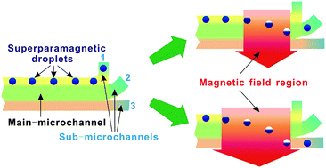Graphical abstract: On-chip manipulation of continuous picoliter-volume superparamagnetic droplets using a magnetic force