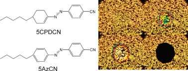 Graphical abstract: A photoresponsive liquid crystal based on (1-cyclohexenyl)phenyldiazene as a close analogue of azobenzene