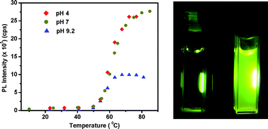 Graphical abstract: Temperature and pH sensitive photoluminescence of riboflavin-methyl cellulose hydrogel: towards AND molecular logic gate behaviour