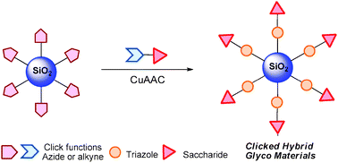 Graphical abstract: Silica-based clicked hybrid glyco materials
