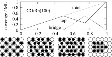 Graphical abstract: On the nature of dense CO adlayers on fcc(100) surfaces: a kinetic Monte Carlo study