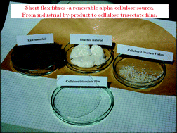 Graphical abstract: Alpha cellulose from industrial and agricultural renewable sources like short flax fibres, ears of corn and wheat-straw and its transformation into cellulose acetates
