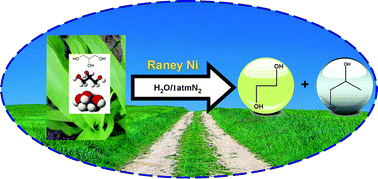 Graphical abstract: The synthesis of propylene glycol and ethylene glycol from glycerol using Raney Ni as a versatile catalyst