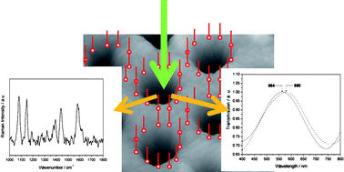 Graphical abstract: Multifunctional plasmonic sensors on low-cost subwavelength metallic nanoholes arrays