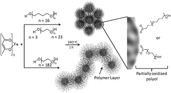 Graphical abstract: Synthesis of colloidal magnetite nanocrystals using high molecular weight solvent