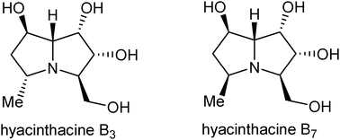 Graphical abstract: Synthesis of hyacinthacine B3 and purported hyacinthacine B7