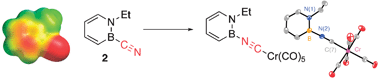 Graphical abstract: BN benzonitrile: an electron-deficient 1,2-dihydro-1,2-azaborine featuring linkage isomerism