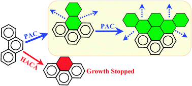 Graphical abstract: A highly efficient growth mechanism of polycyclic aromatic hydrocarbons