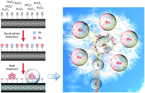 Graphical abstract: PtRu nano-dandelions on thiolated carbon nanotubes: a new synthetic strategy for supported bimetallic core–shell clusters on the atomic scale