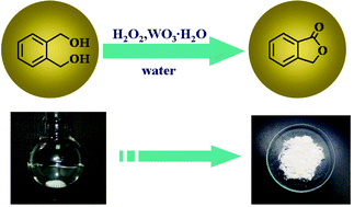 Graphical abstract: A green process for the oxidative lactonization of 1,2-benzenedimethanol by tungstic acid with aqueous H2O2