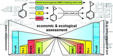 Graphical abstract: Intensification and economic and ecological assessment of a biocatalytic oxyfunctionalization process