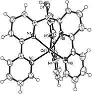 Graphical abstract: A novel bipyridine-based hexadentate tripodal framework with a strong preference for trigonal prismatic co-ordination geometries