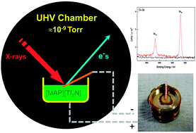 Graphical abstract: An ultra high vacuum-spectroelectrochemical study of the dissolution of copper in the ionic liquid (N-methylacetate)-4-picolinium bis(trifluoromethylsulfonyl)imide