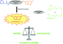 Graphical abstract: A comparative study of the self-immolation of para-aminobenzylalcohol and hemithioaminal-based linkers in the context of protease-sensitive fluorogenic probes