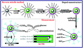 Graphical abstract: Glucose oxidase-doped magnetic silica nanostrutures as labels for localized signal amplification of electrochemical immunosensors