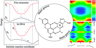 Graphical abstract: Photophysical and structural properties of the fluorescent nucleobase analogues of the tricyclic cytosine (tC) family